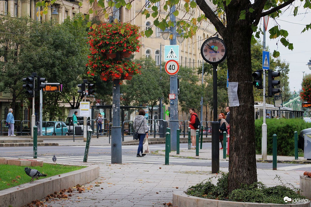 Budapest XI. kerület