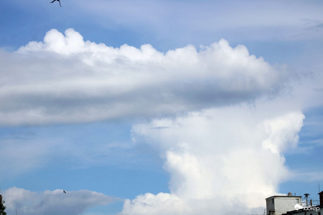 Budapest XI. kerület