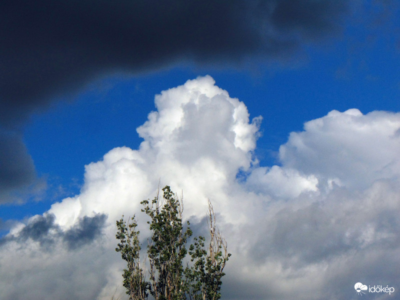 Budapest XI.kerület