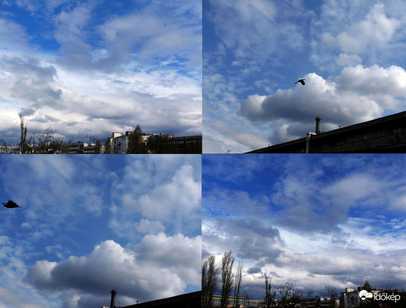 Budapest XI. kerület