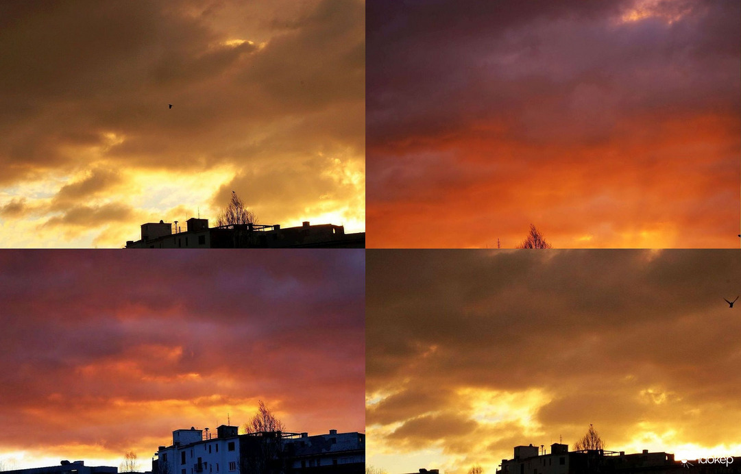 Budapest XI. kerület