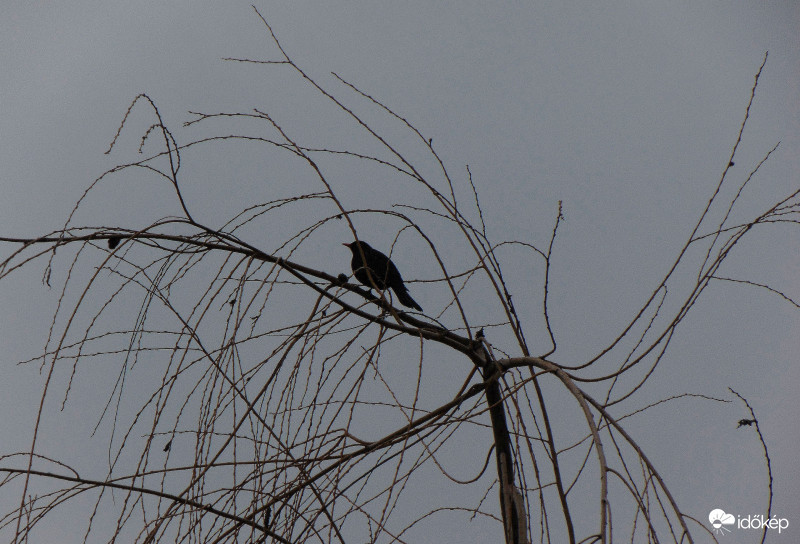 Budapest XI.kerület