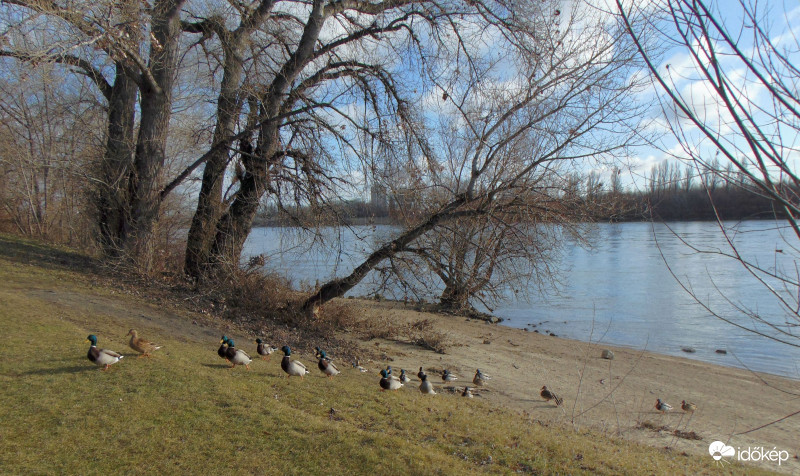 Megindult a csapat..