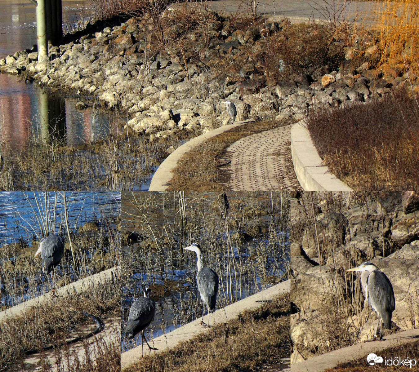 Nem szerencsés nap..