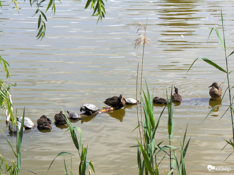 Nem mindig úgy alakulnak a dolgok