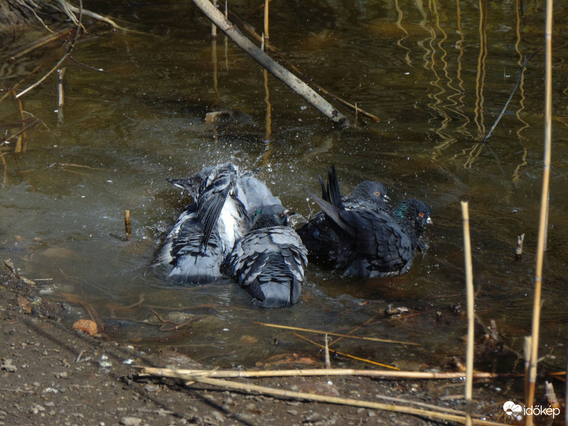 Valami nincsen rendben..