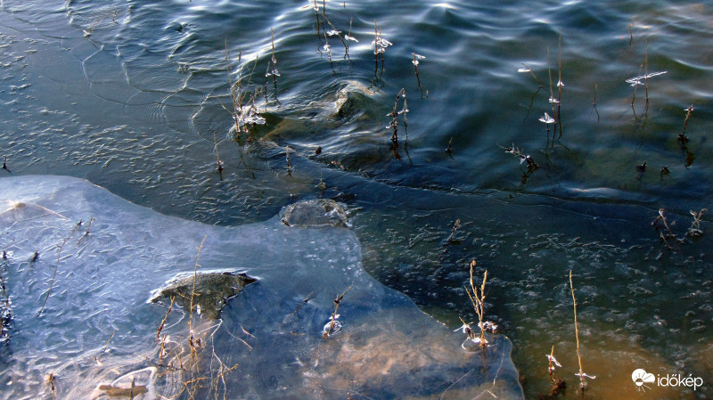 Partra vetődött...