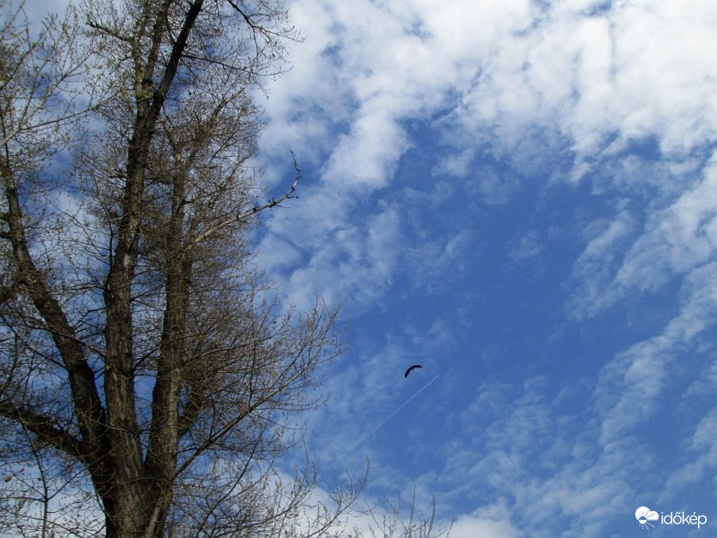 Gomolyfelhős égbolt szürkegémmel..