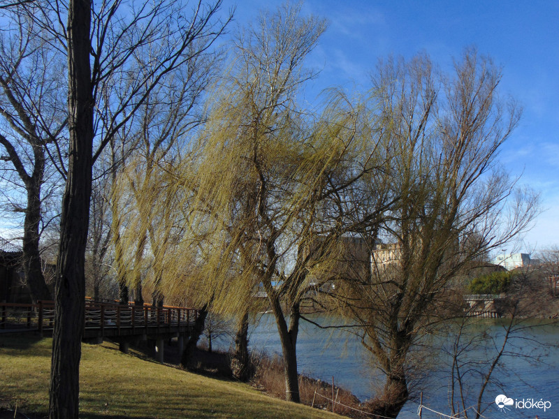 Kopaszi gát öble..