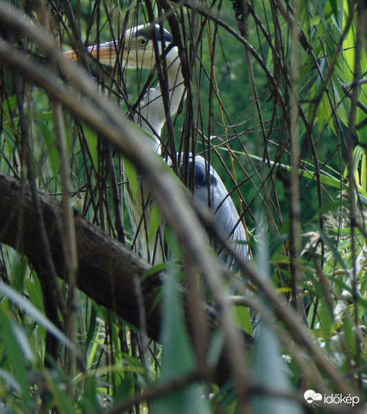 Függöny mögül, karnyújtásnyira...