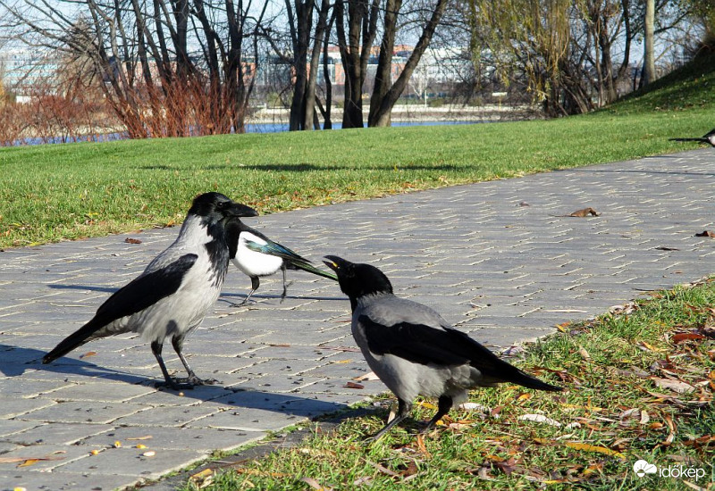 Na, énekelj csak valamit nekem...