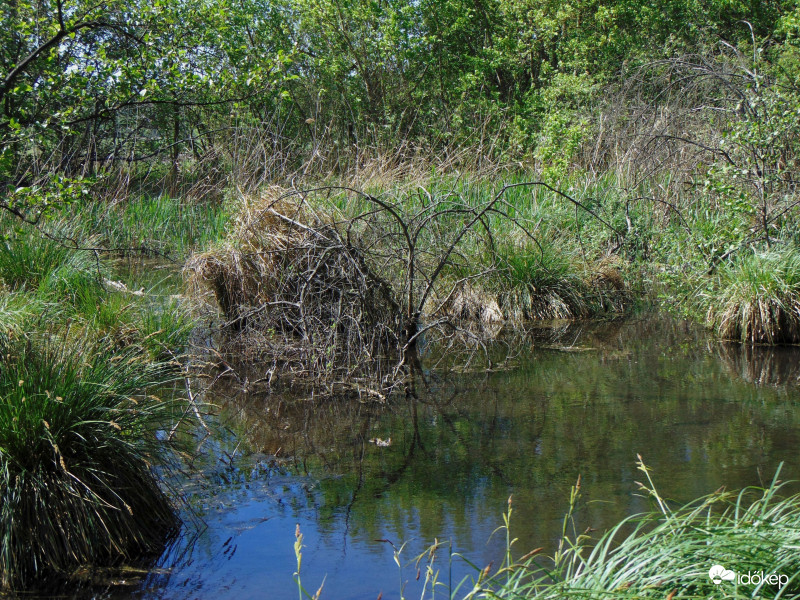 Napfényes időben..