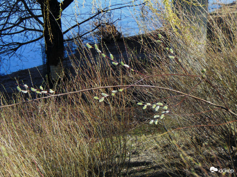 Ébredezik a spicc..