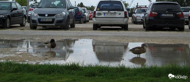 Több funkciós parkoló...