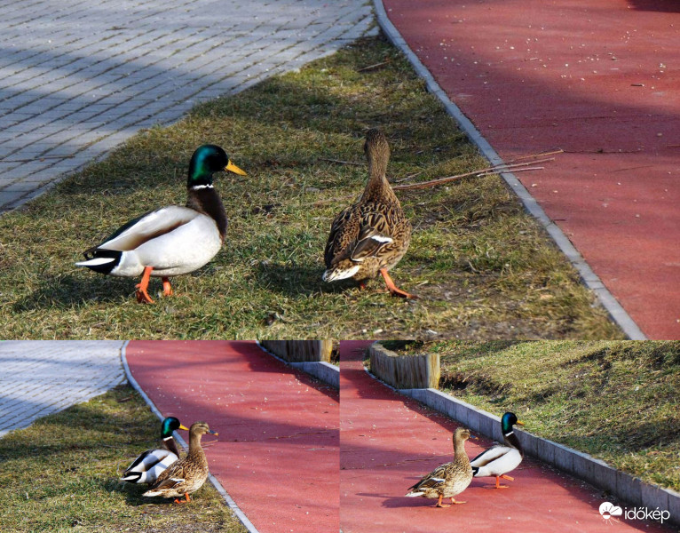 Kereszteződésben..