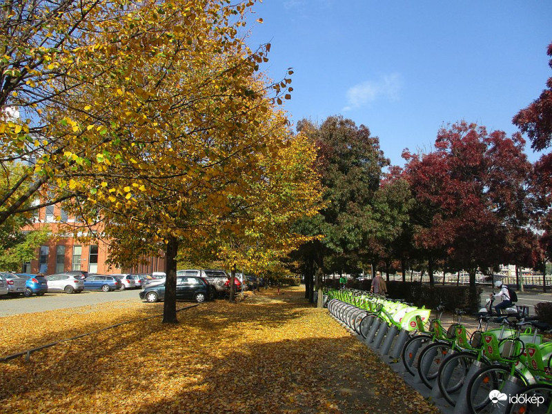 Városi ősz...