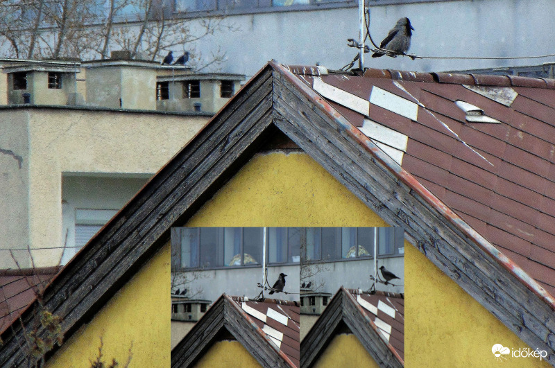 Társasági élet a tetőn