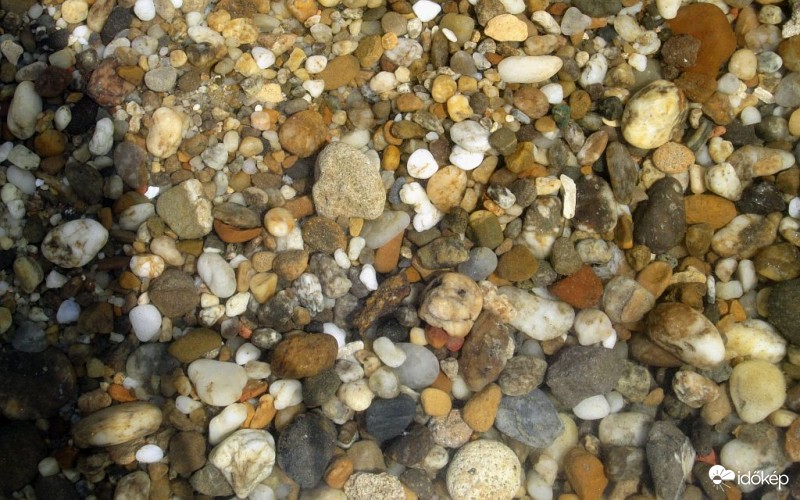 Víz alatti kincsek...