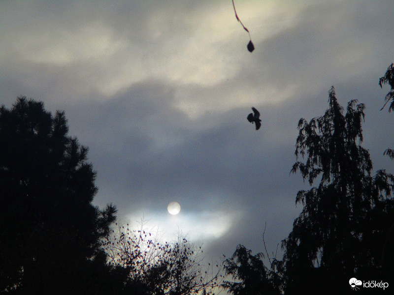 Budapest XI.kerület