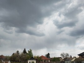 Kóka