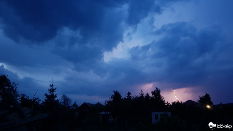 Kóka