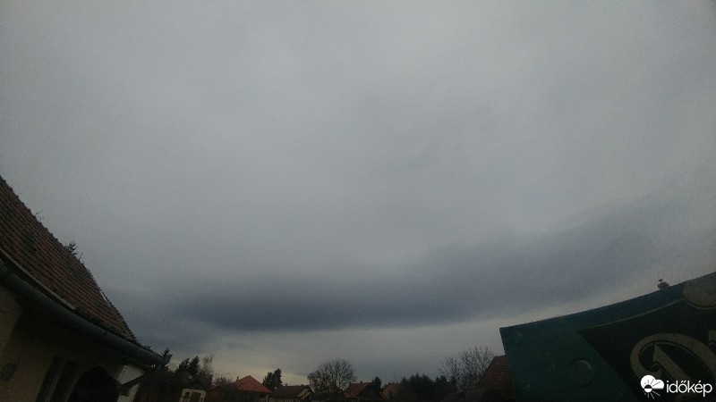 Kóka