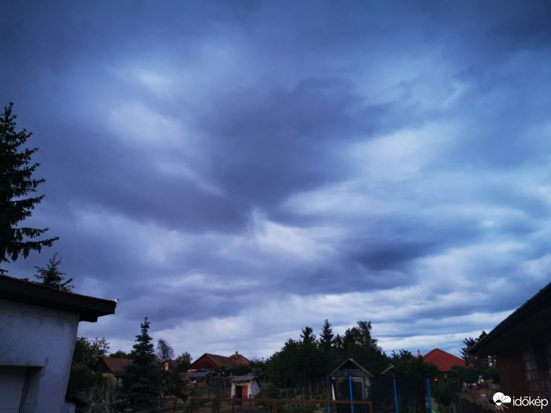 Kóka