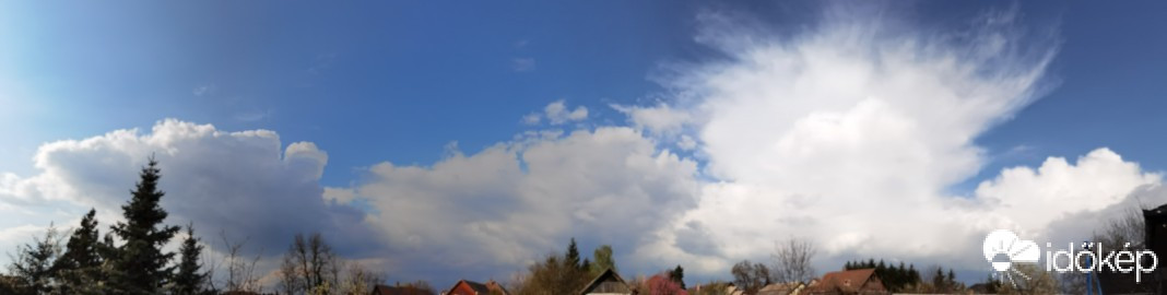 Kóka
