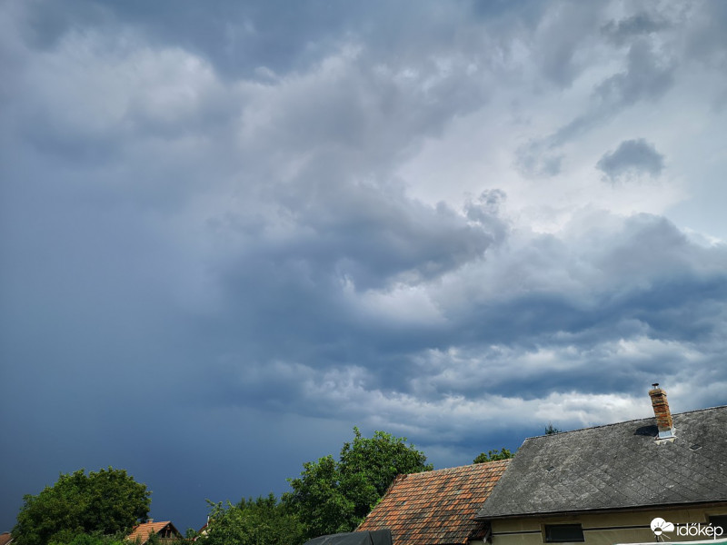Kóka