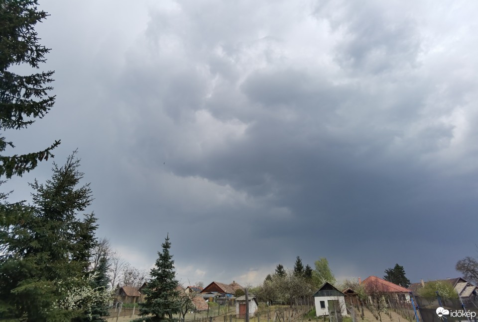 Kóka