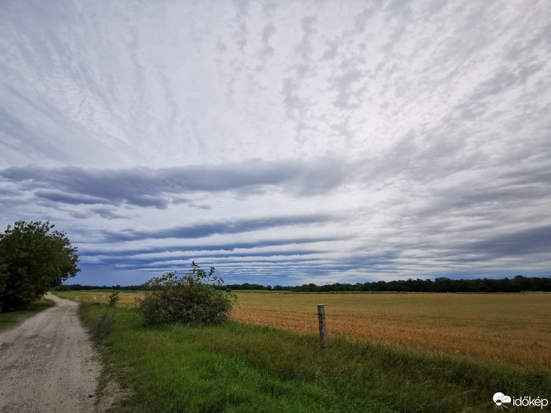 Naszály