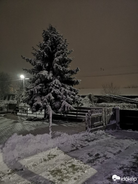 Kóka