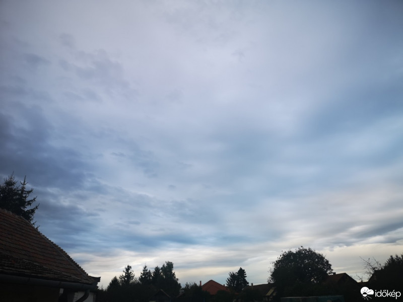 Kóka