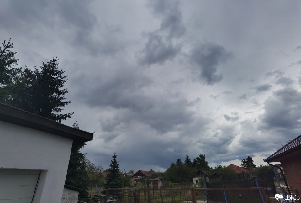 Kóka