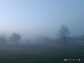 Ködös reggel