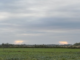 Fényszórók
