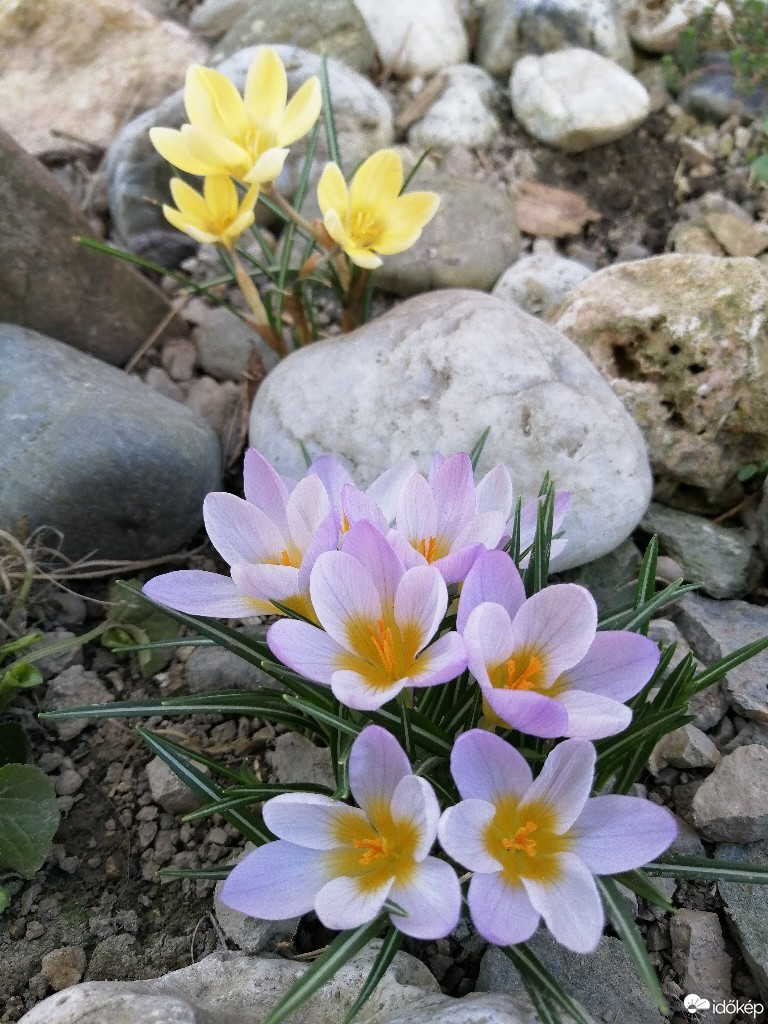 Győrújfalu
