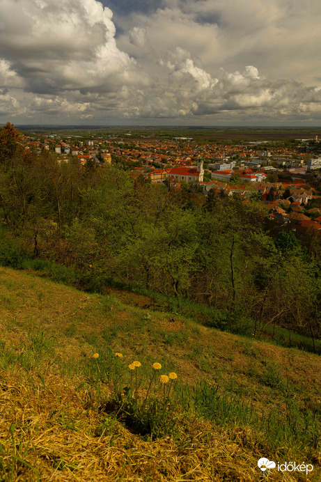 Tavasz Szekszárdon