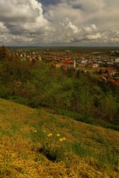 Tavasz Szekszárdon