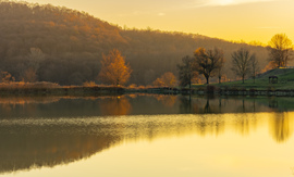 Szálka november végén