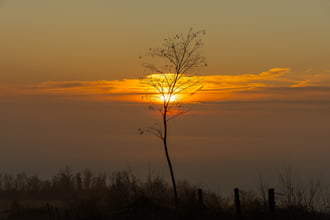 Végre látjuk a napot...