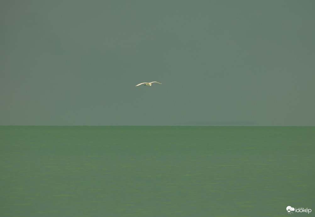 Balaton minimál