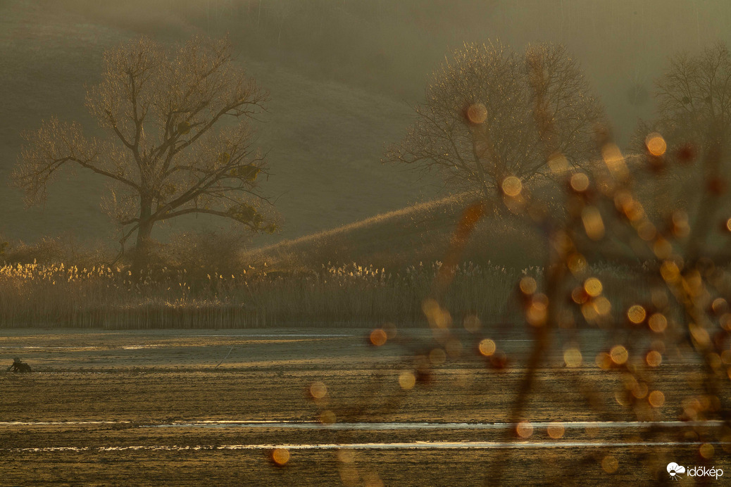 Reggeli impresszió... Ébredés