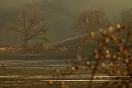 Reggeli impresszió... Ébredés