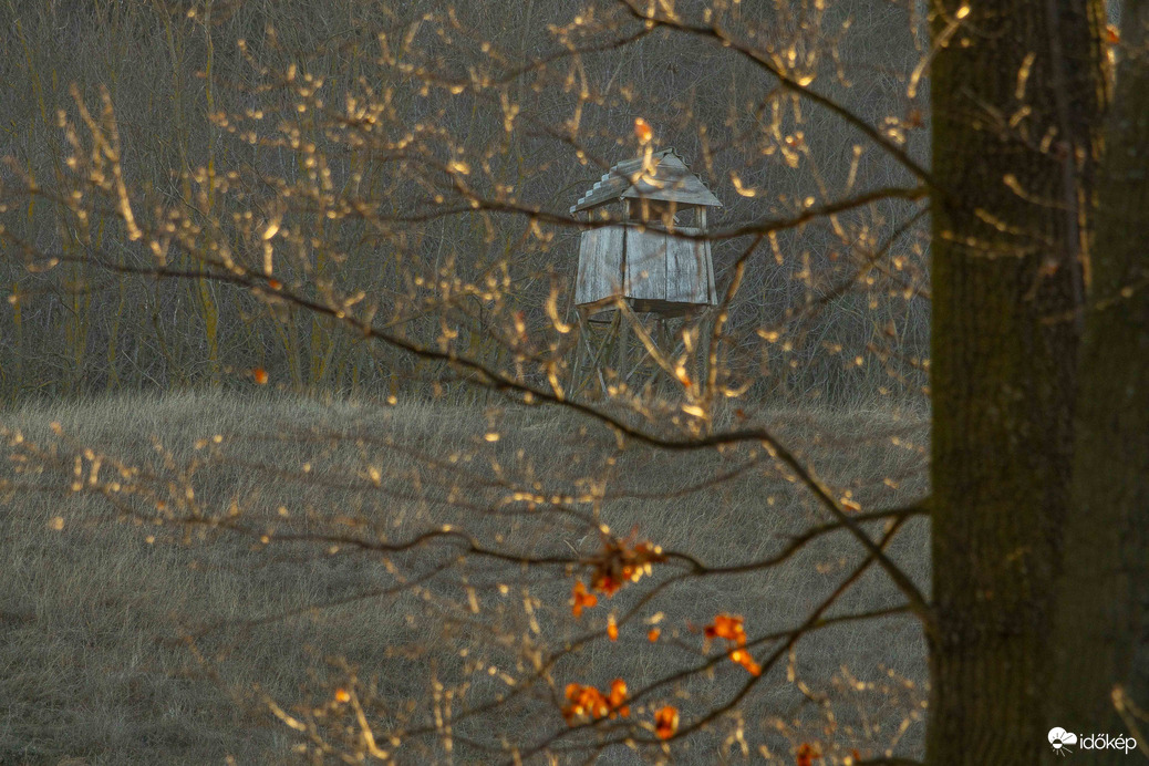 Reggeli impresszió... Őrálló