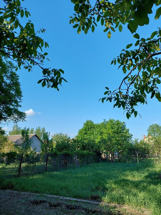 Gyomaendrőd