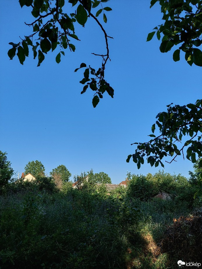 Gyomaendrőd