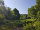 Szanda