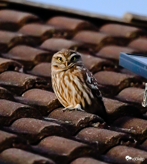 Figyelj én is figyelek!