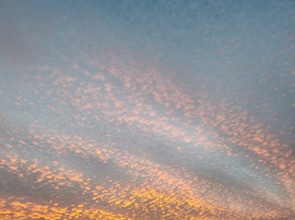 Arany Altocumulus